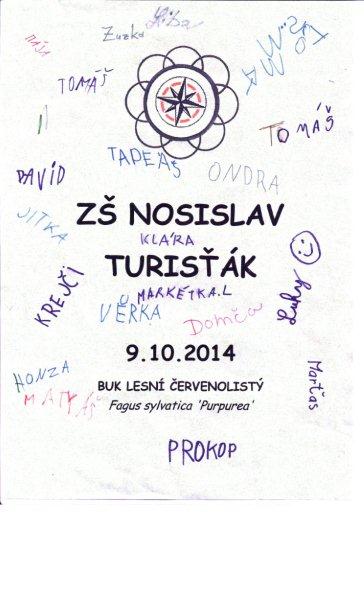 sázení buku 2014 bílá